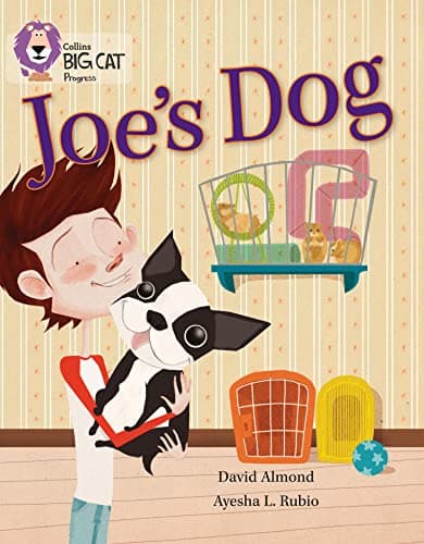 Cover of Joe's Dog (By: David Almond)