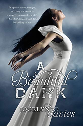 Cover of A Beautiful Dark
