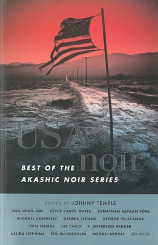 Cover of USA Noir