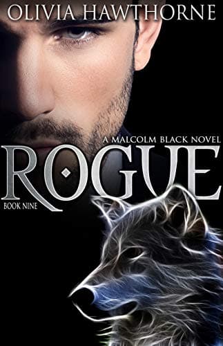 Cover of Rogue Book 9