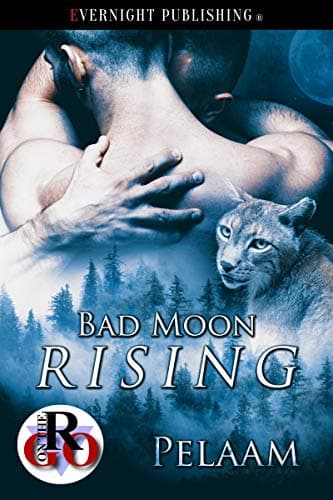 Cover of Bad Moon Rising (By: Pelaam)