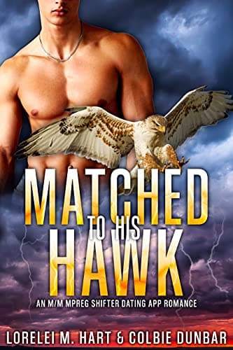 Cover of Matched to His Hawk