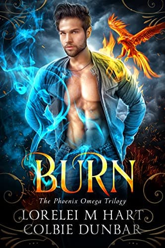 Cover of Burn