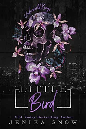 Cover of Little Bird (By: Jenika Snow)