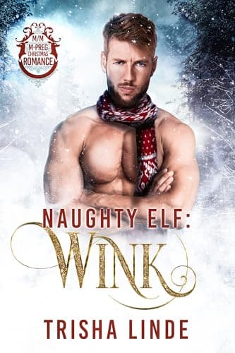 Cover of Wink (By: Trisha Linde)