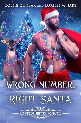 Cover of Wrong Number, Right Santa